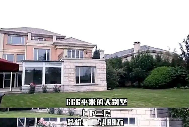 李湘生活方式图片