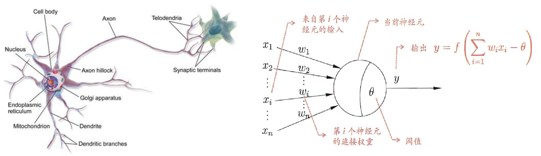 抽象神经网络结构示意图