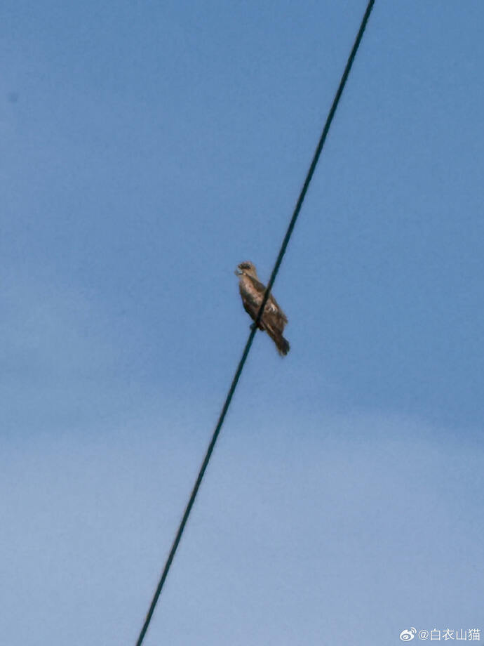 湘雅二医院丑闻讨论