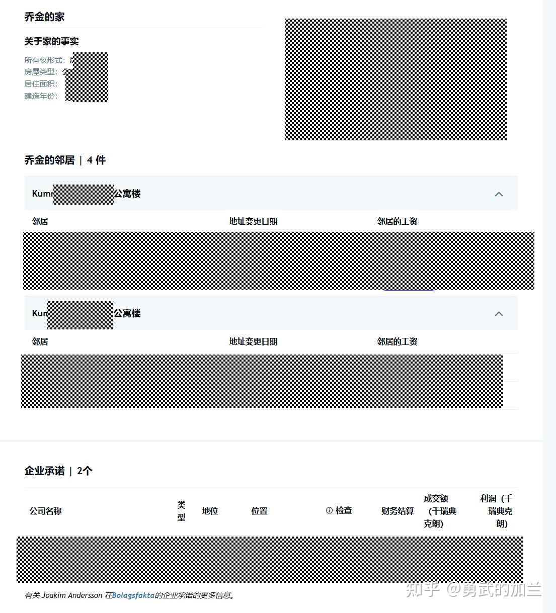 Ratsit 收入查询示例