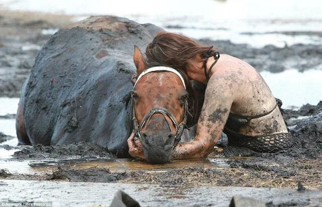 Woman saving a horse
